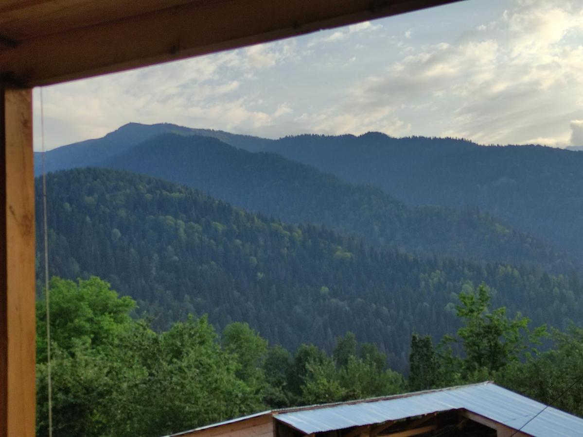 Ecohouse Svaneti Местия Экстерьер фото