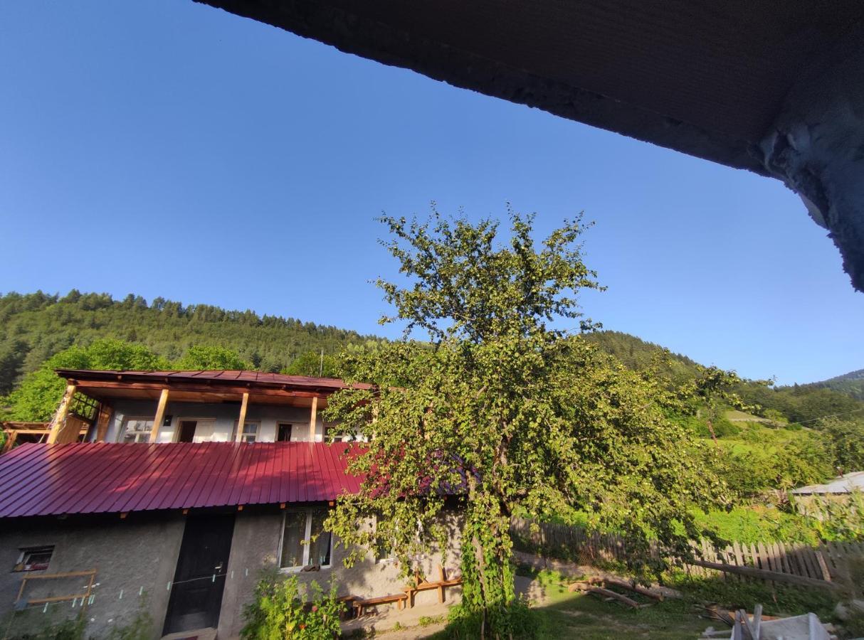 Ecohouse Svaneti Местия Экстерьер фото