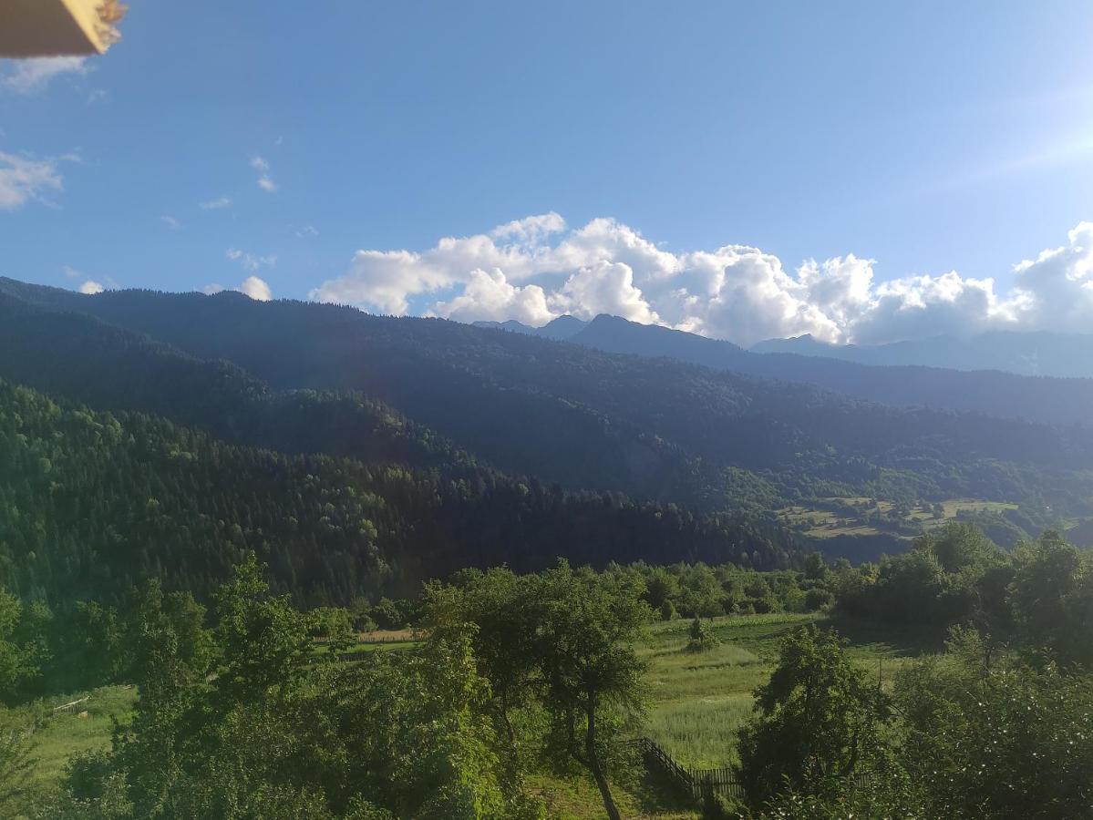 Ecohouse Svaneti Местия Экстерьер фото