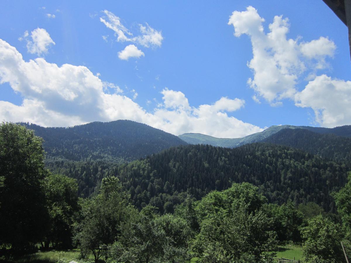 Ecohouse Svaneti Местия Экстерьер фото
