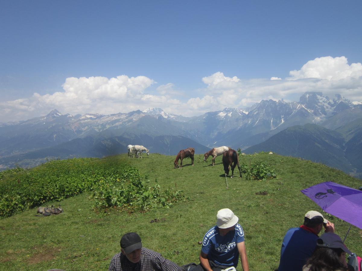 Ecohouse Svaneti Местия Экстерьер фото