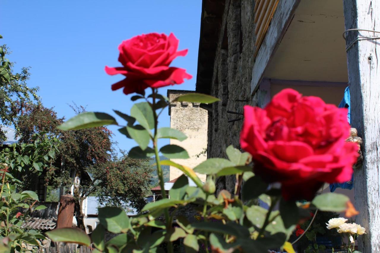 Ecohouse Svaneti Местия Экстерьер фото