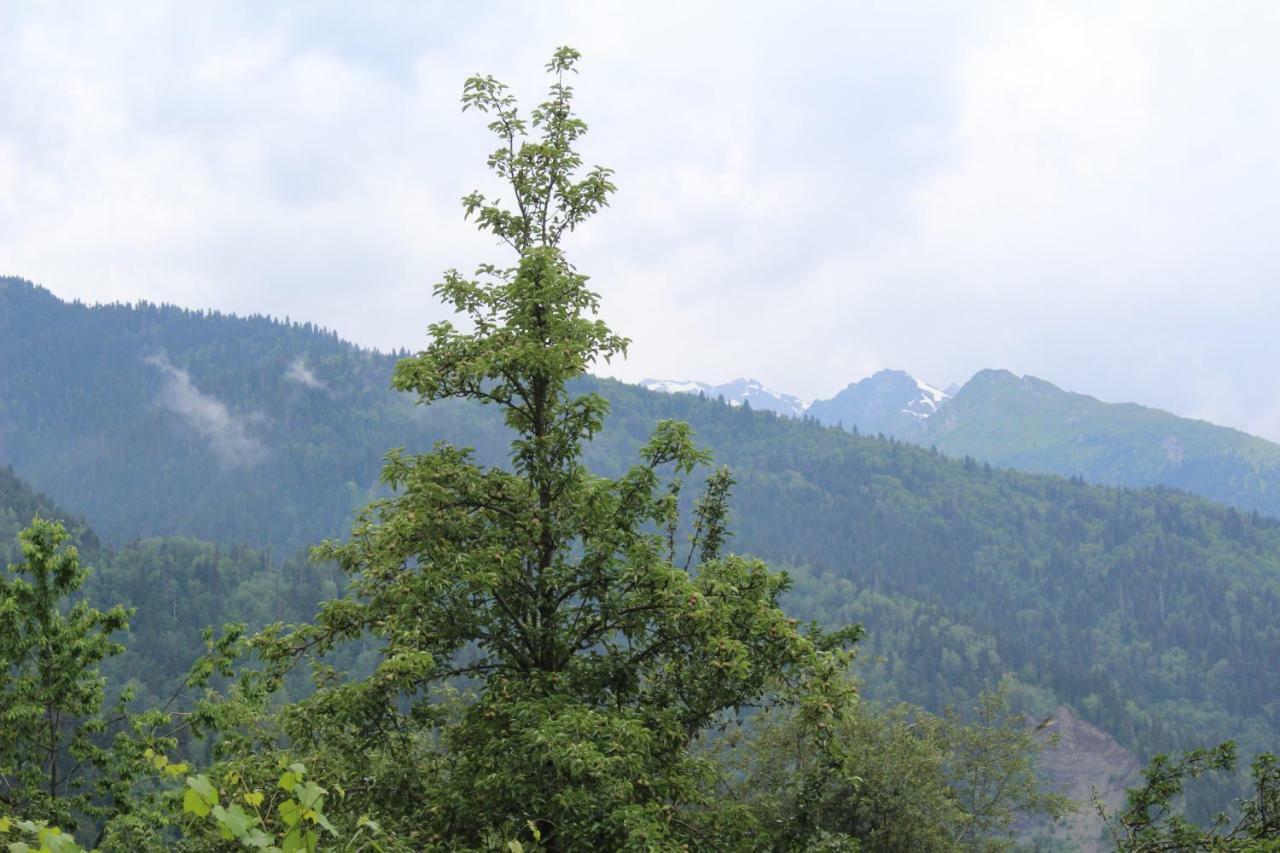 Ecohouse Svaneti Местия Экстерьер фото