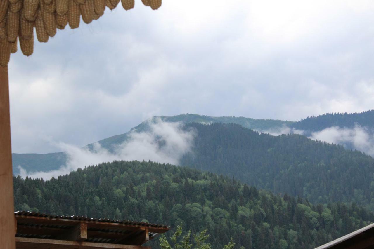 Ecohouse Svaneti Местия Экстерьер фото